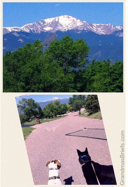 pikes peak and dogs
