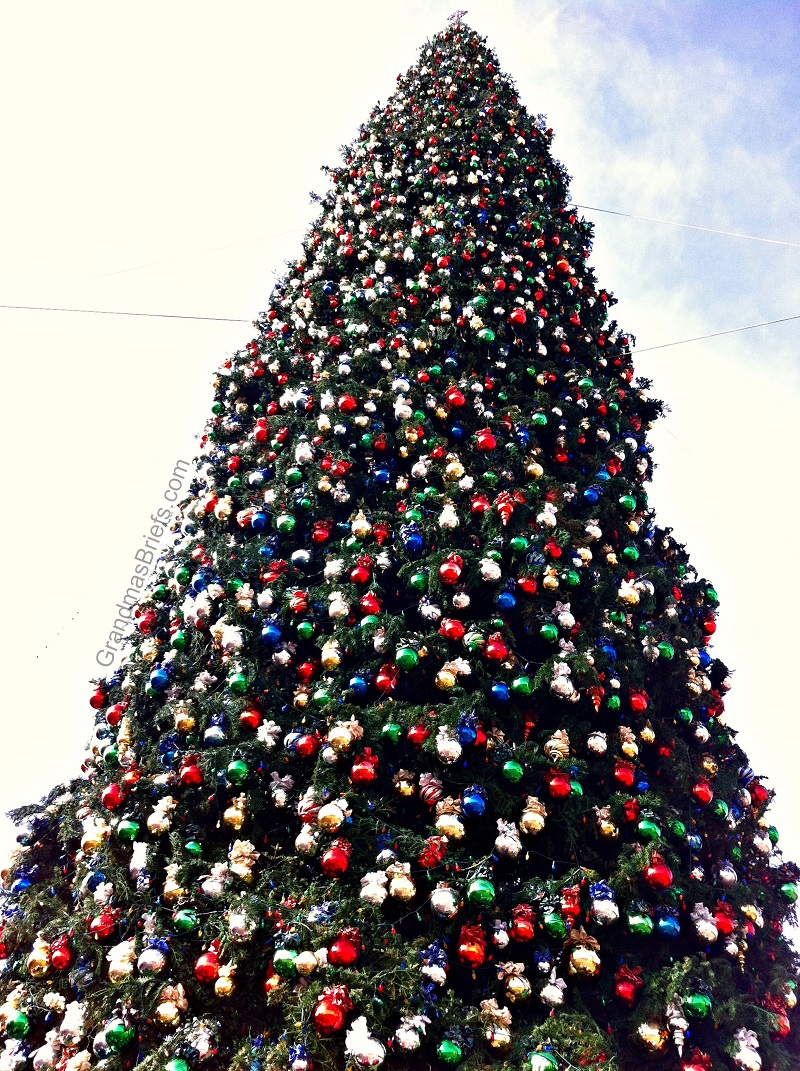 america's tallest christmas tree