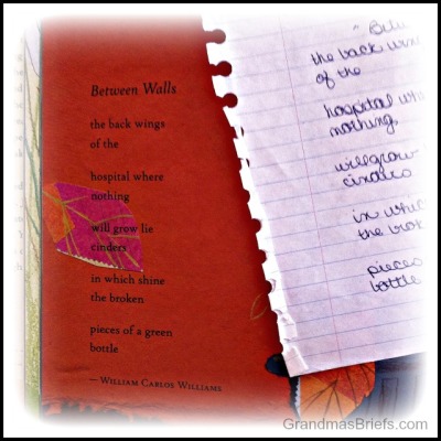 Between Walls poem