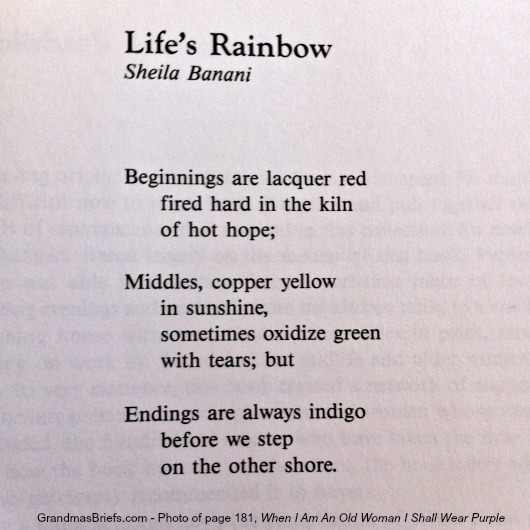life's rainbow by sheila banani