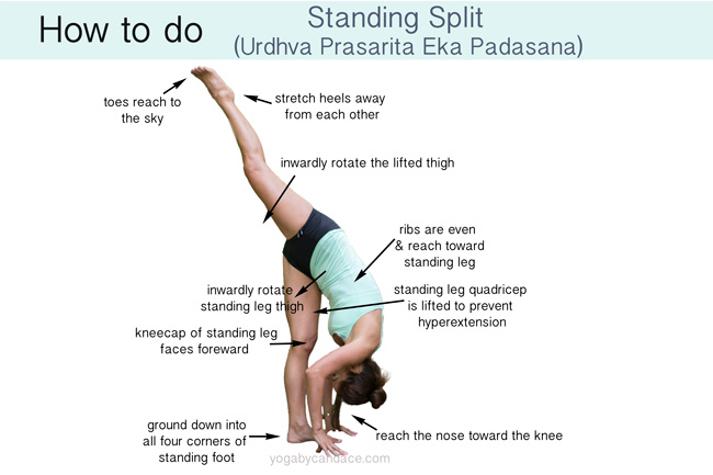 Woman doing standing split against white background, with text labels pointing to parts of her body and describing good form