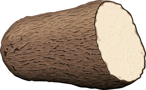 clipart of yam - photo #50
