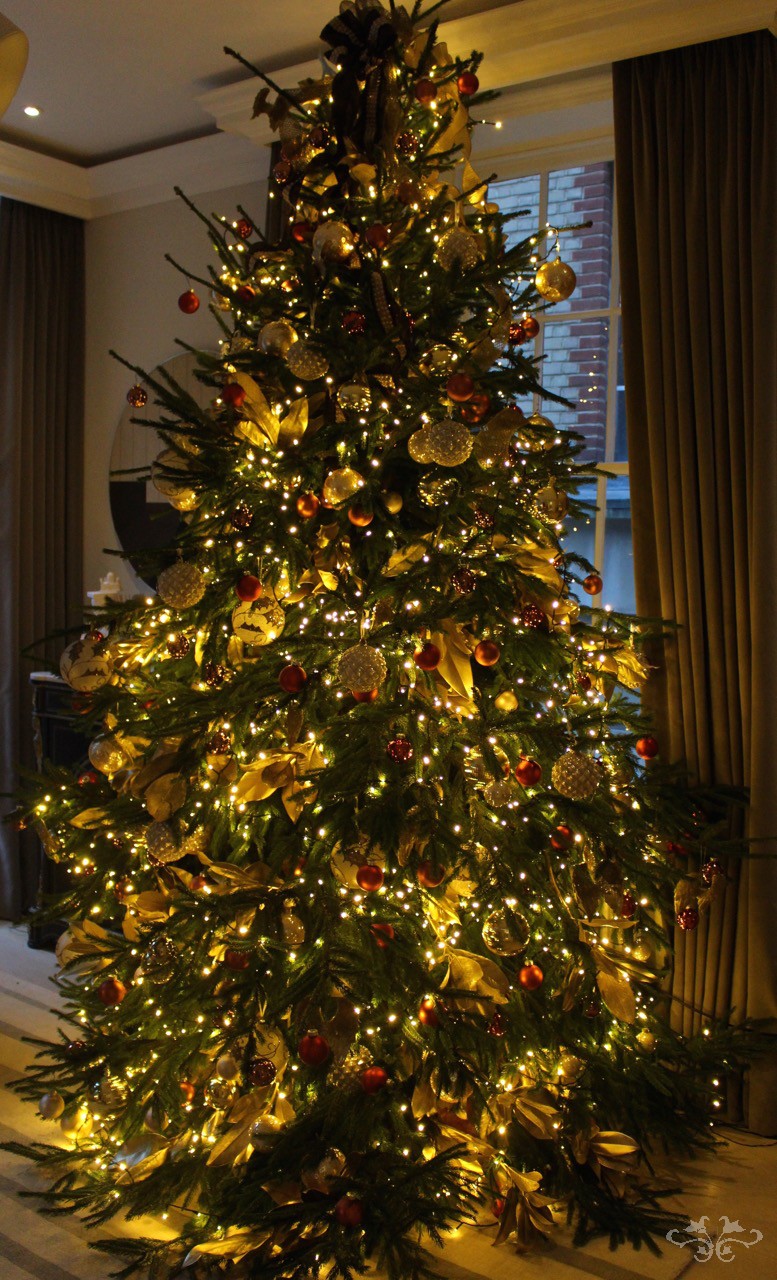 Where to find the best Christmas Trees and Christmas Tree Decorations in Belgravia — Neill ...