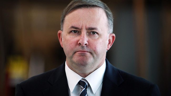Anthony Albanese MP image source - News Corp