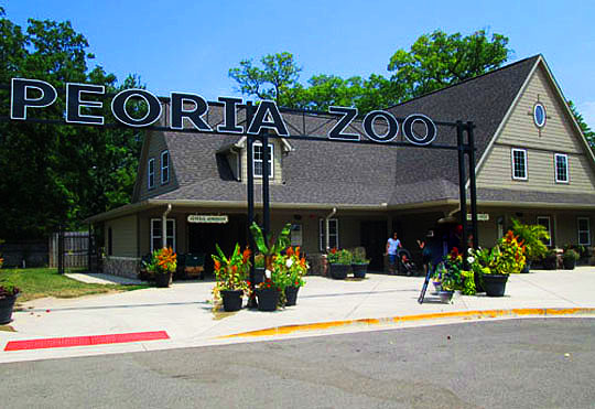 Peoria Zoo Wedding