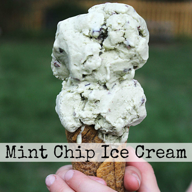 Dairy-Free Mint Chip Ice Cream — The Curious Coconut