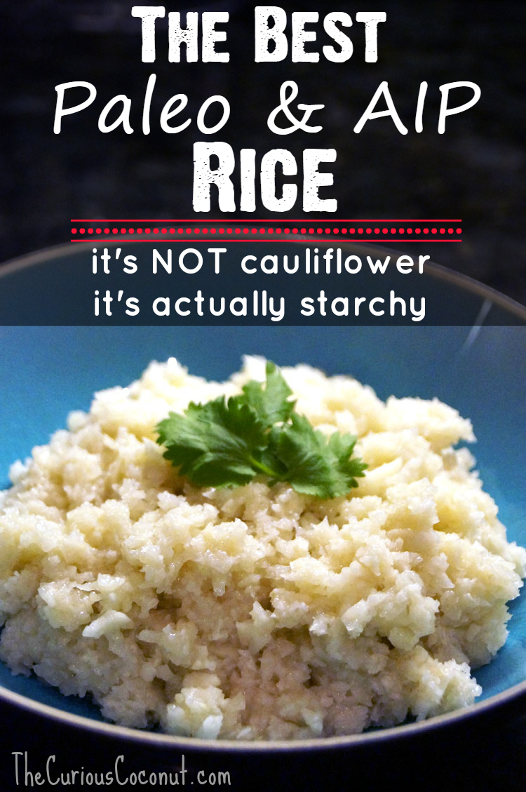 The Best Paleo Rice Replacement (not cauliflower!) — The ...