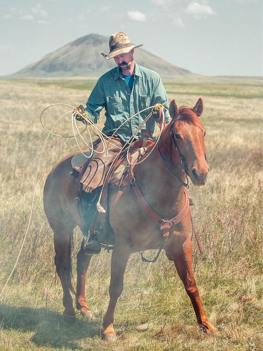 Agriculture Photography by Todd Klassy - Cowboys Photos