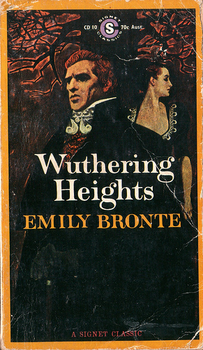 Stupidity in wuthering heights