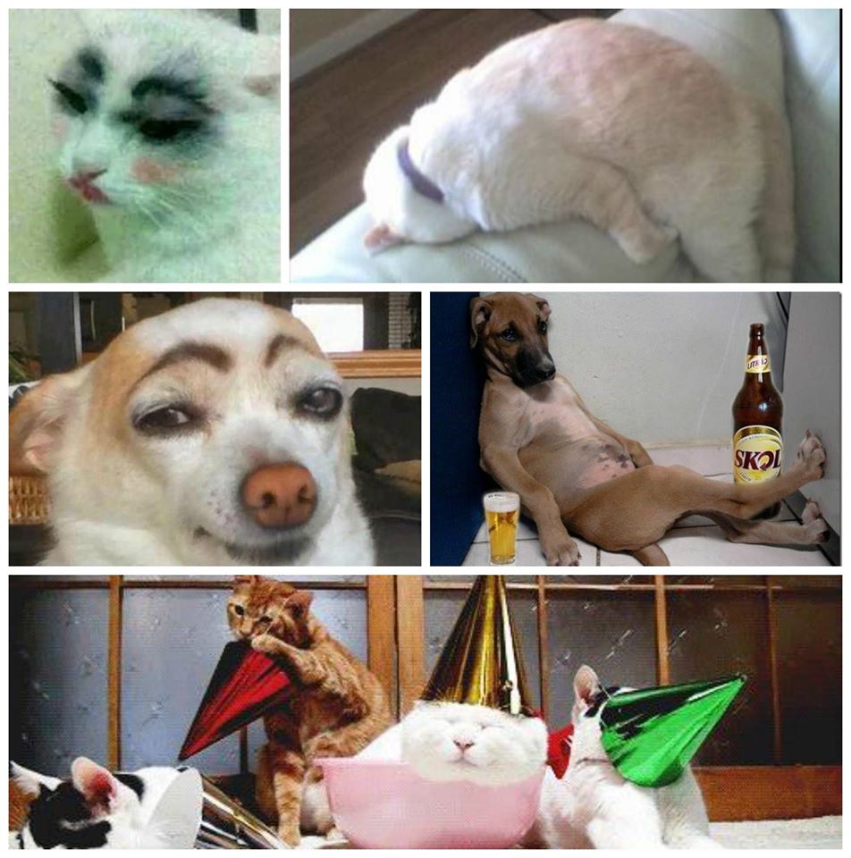 Drunk+Pets+%28697%29.jpg