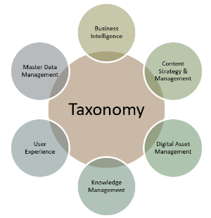 enterprise taxonomy