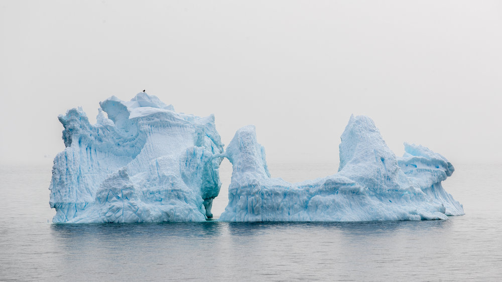 Iceberg Arch