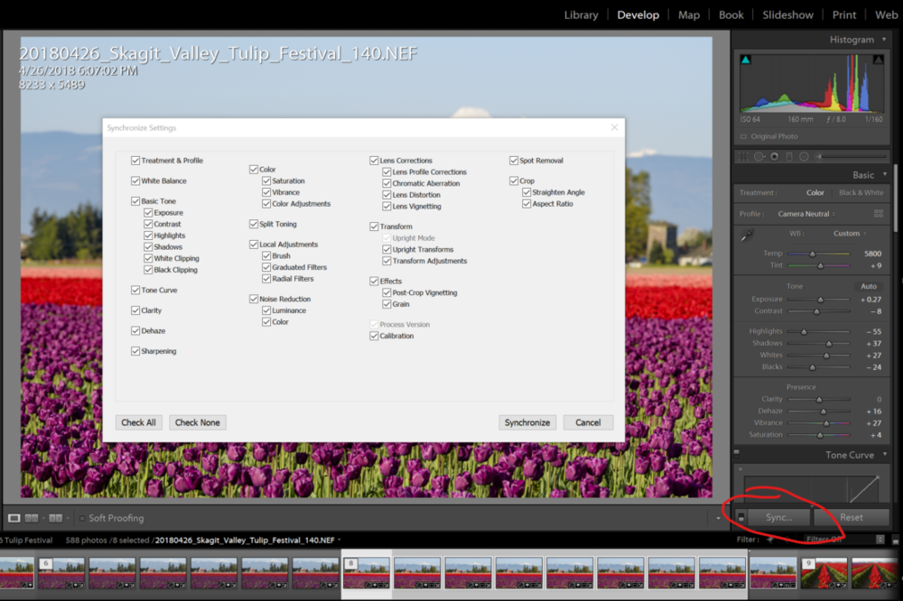 Synchronize edits in Lightroom before blending focus-stacked images.