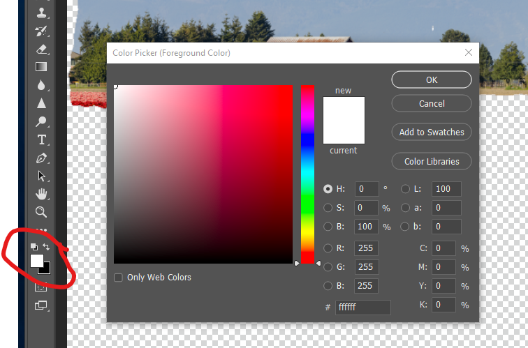 Toggle the color of the Brush tool between black (to hide) and white (to reveal) layer contents.