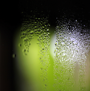     Condensation forming on a window may be an early indicator of damp. 