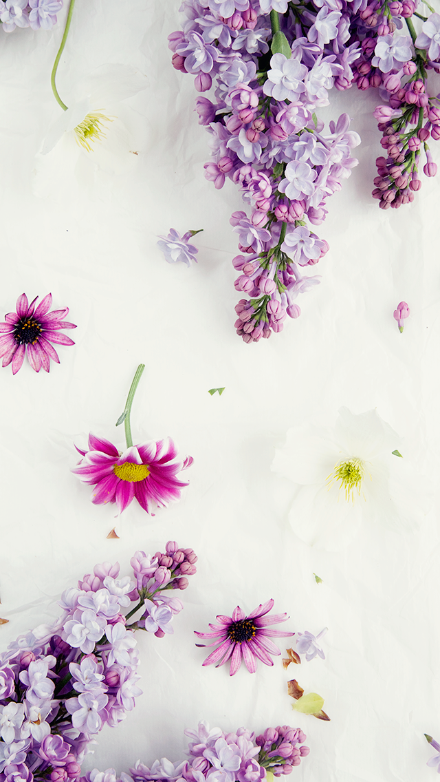 Free Floral Phone Wallpapers • Spring Collection • BiBs 2014 • Capture by Lucy