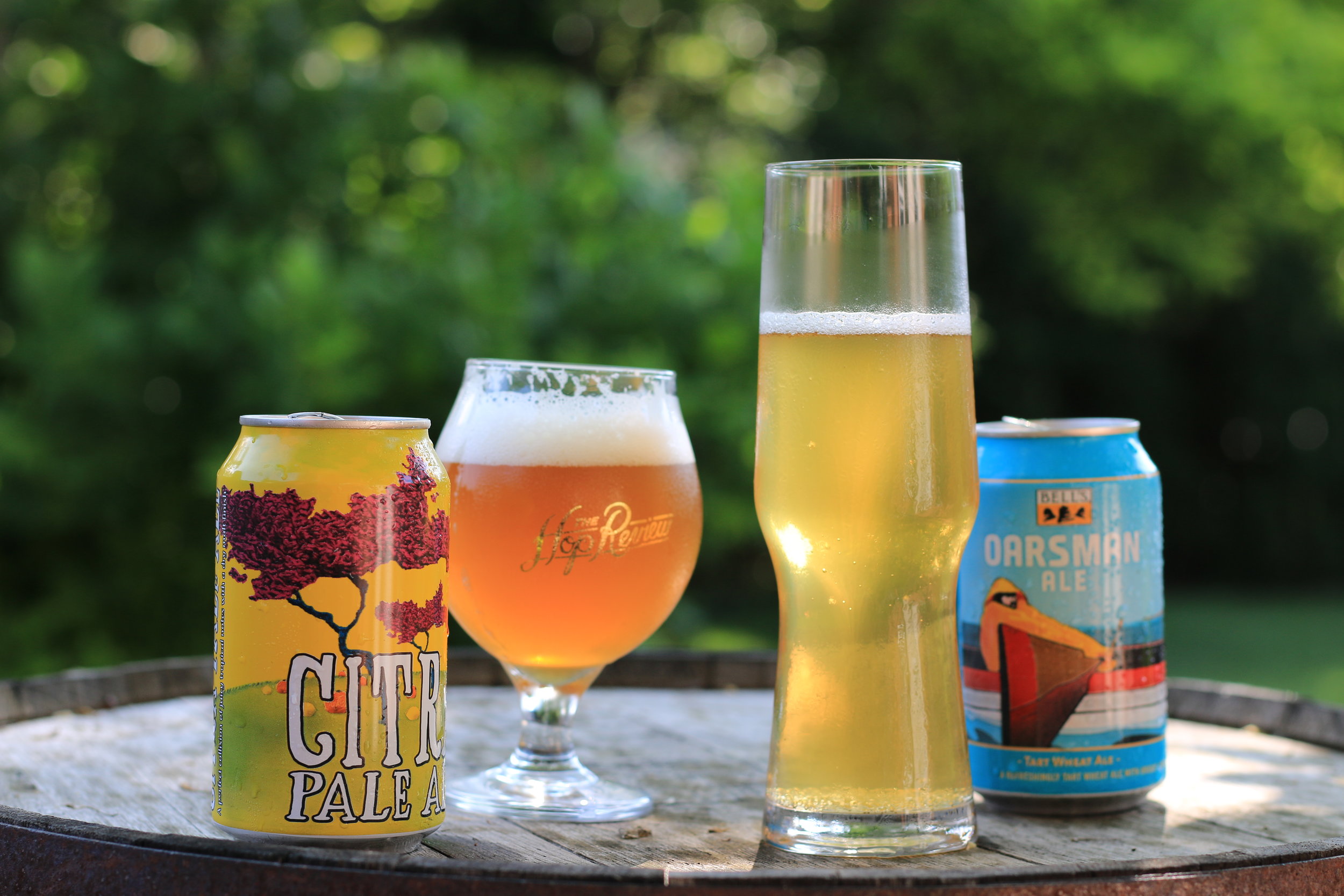 A 6-pack of Michigan Beers for Your 4th of July Cooler