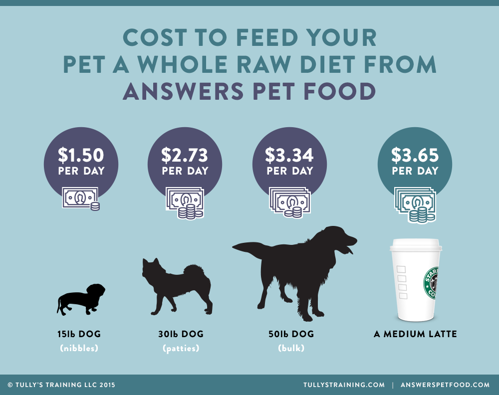 What's the Best Diet for My Dog? One Dog Food Company Is