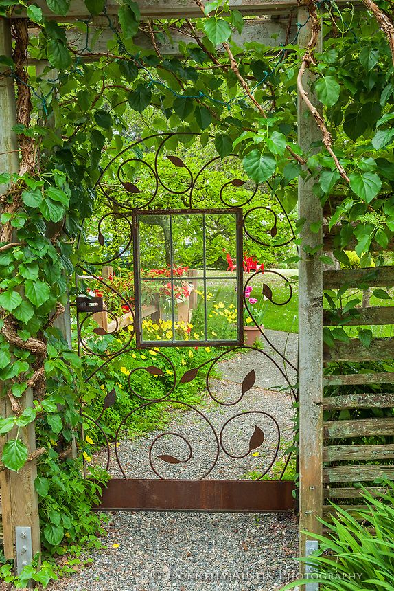 A view through a garden gate with glass window sheltered by a climbing hydrangea entwined on the pergola.  ~ Style Estate - 15 Gorgeous Garden Gates