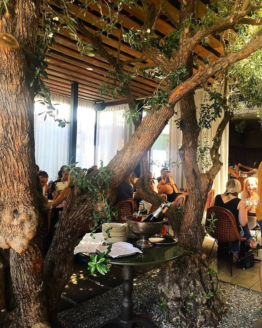 20 Must Try Brunch Spots In Venice Lincoln Rose