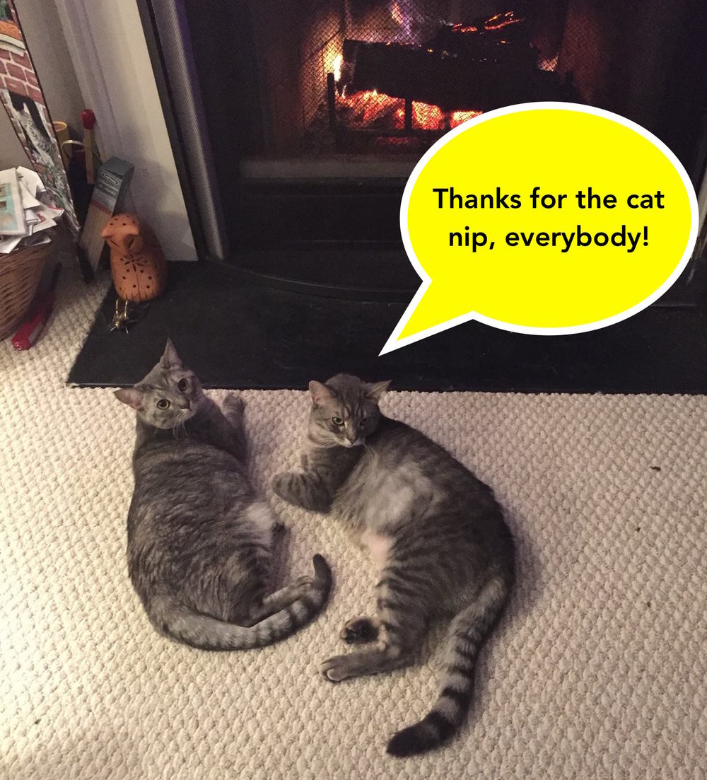 thank you kitties