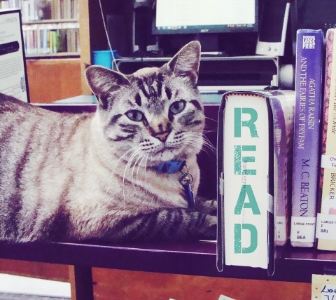 texas library cat reinstated