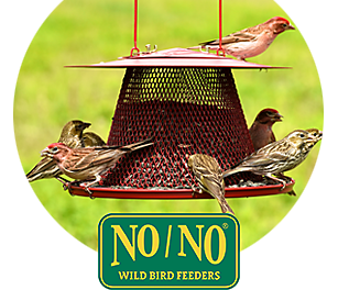 NO/NO wild bird feeders