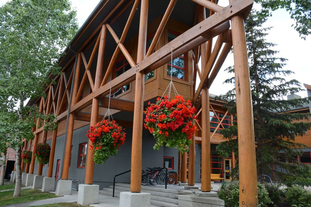 Banff Town Hall - example of natural materials, and neutral tones combined with bright colours