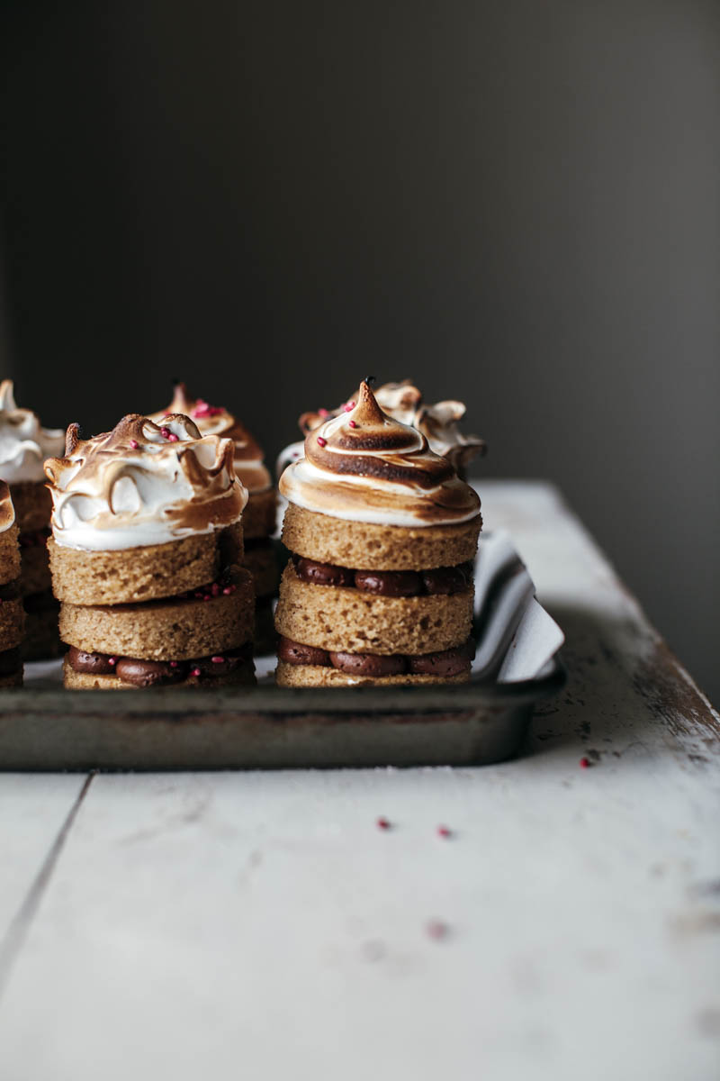 s'mores mini cakes + instaglamp registration! — molly yeh