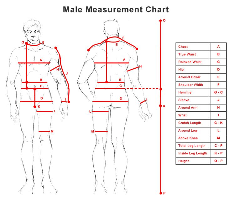 Model Measurements Chart