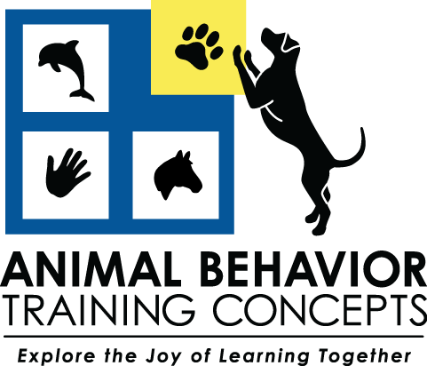 Laura Monaco Torelli — Animal Behavior Training Concepts – Chicago, IL