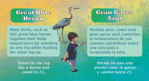  Bilingual signs teach children about local wildlife while encouraging them to be active and enjoy the outdoors.&nbsp;Some of our founders and partners show us how it's done!&nbsp; 
