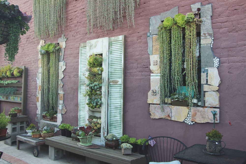 Vertical Succulent Wall Art at Succulent Cafe Oceanside via Needles + Leaves