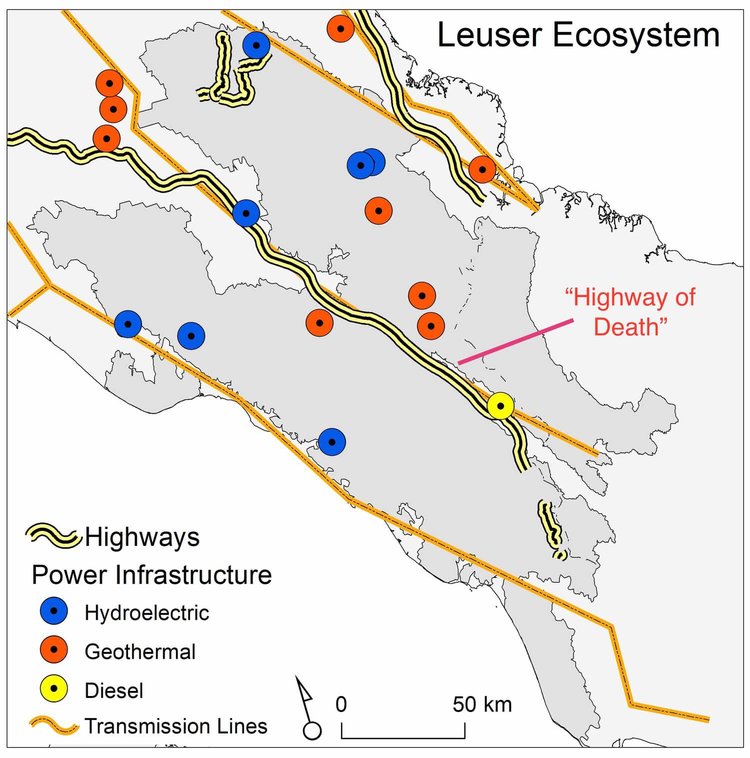 A planejada rodovia e esquemas de energia que devastariam o Ecossistema Leuser.
