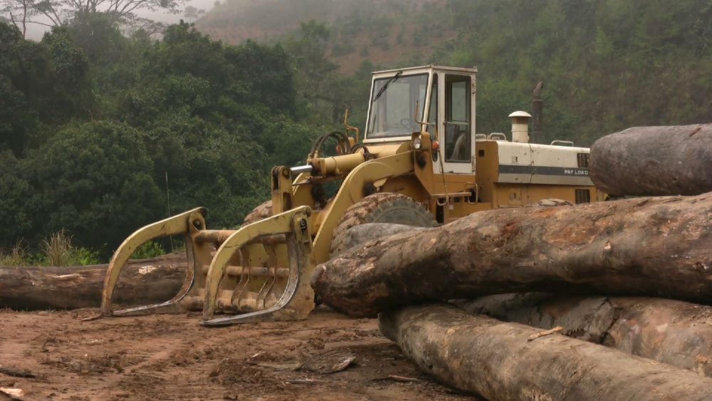 rainforest-logging-industry-deforestation-jungle-forest-tropical-logs-vietnam_htr4rl2x__F0010.png