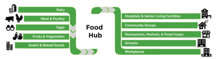 Food hubs connect farmers, food processors, distributors, and markets.  Graphic by    Sustainable Table   .