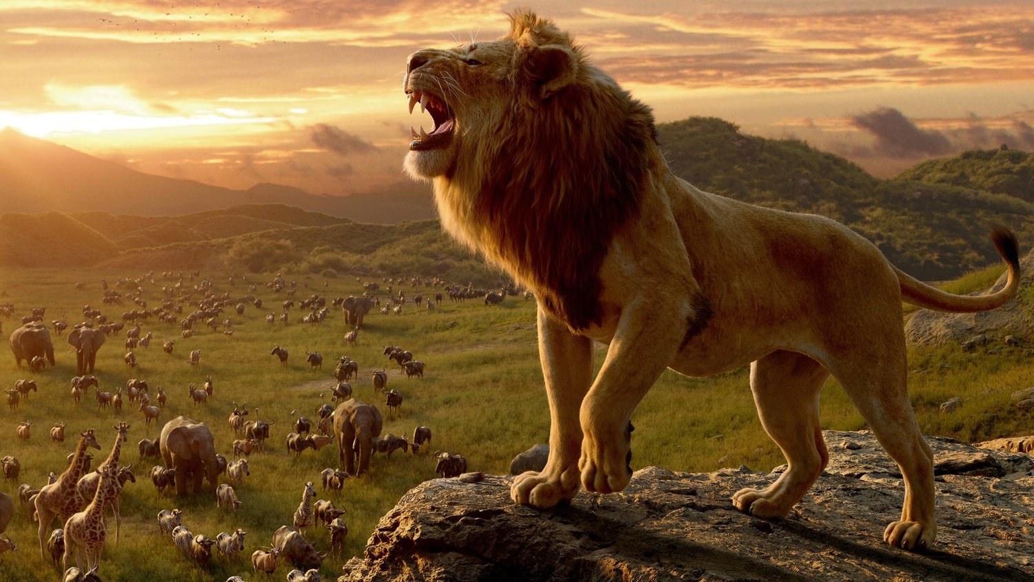 Lion King Movie Visuals