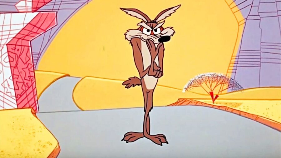 Will Forte taquine le plaisir qu’il a eu à faire le prochain film Looney Tunes COYOTE VS.  ACMÉ