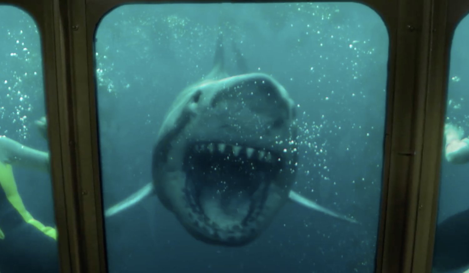 Johannes Roberts s’apprête à réaliser un film d’horreur à gros budget sur l’attaque des requins LE TRIANGLE ROUGE