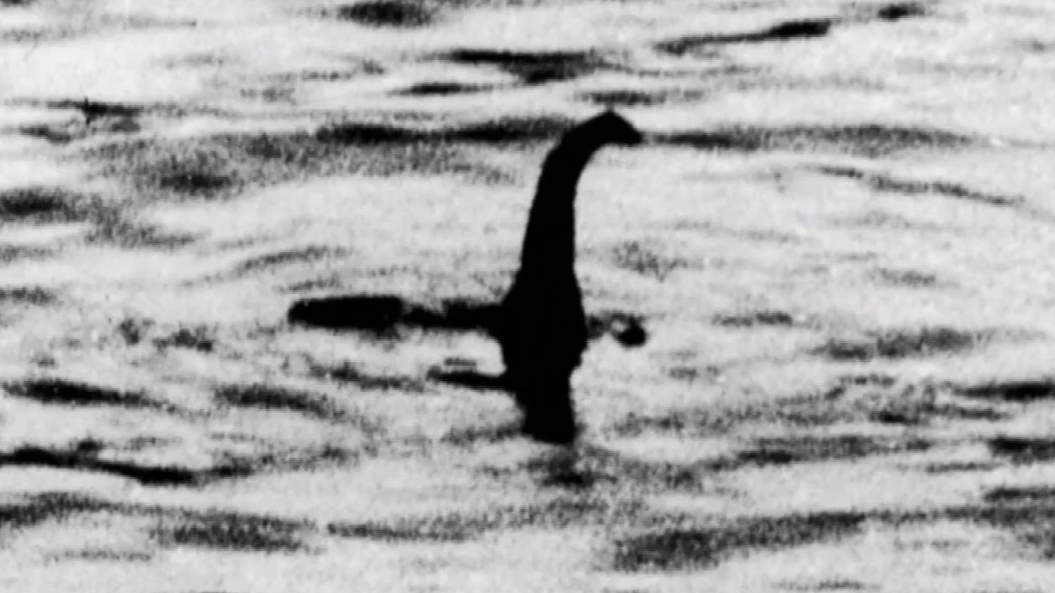 La plus grande chasse au monstre du Loch Ness a récemment eu lieu