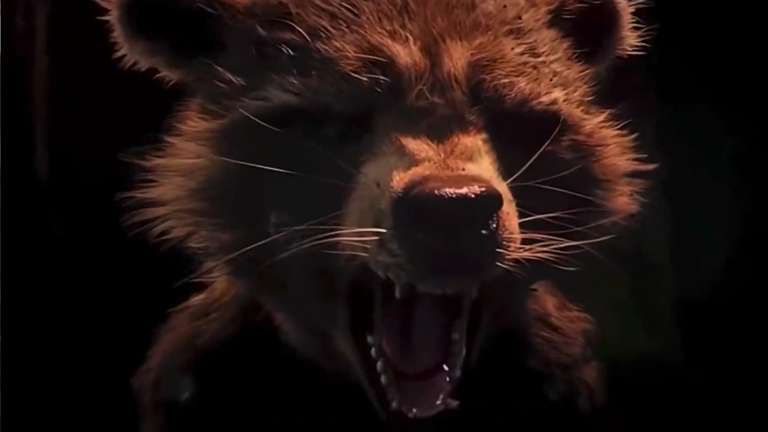 Bradley Cooper raconte la scène la plus émouvante de Rocket Raccoon dans GUARDIANS 3 à la mort de son père