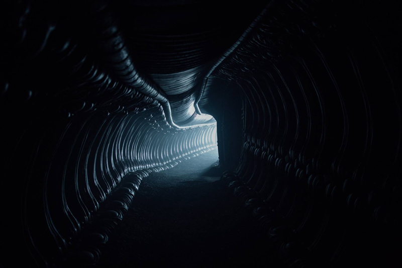 new-alien-covenant-photos-feature-a-bloody-mess-and-a-eerie-xenomorph-hallway2