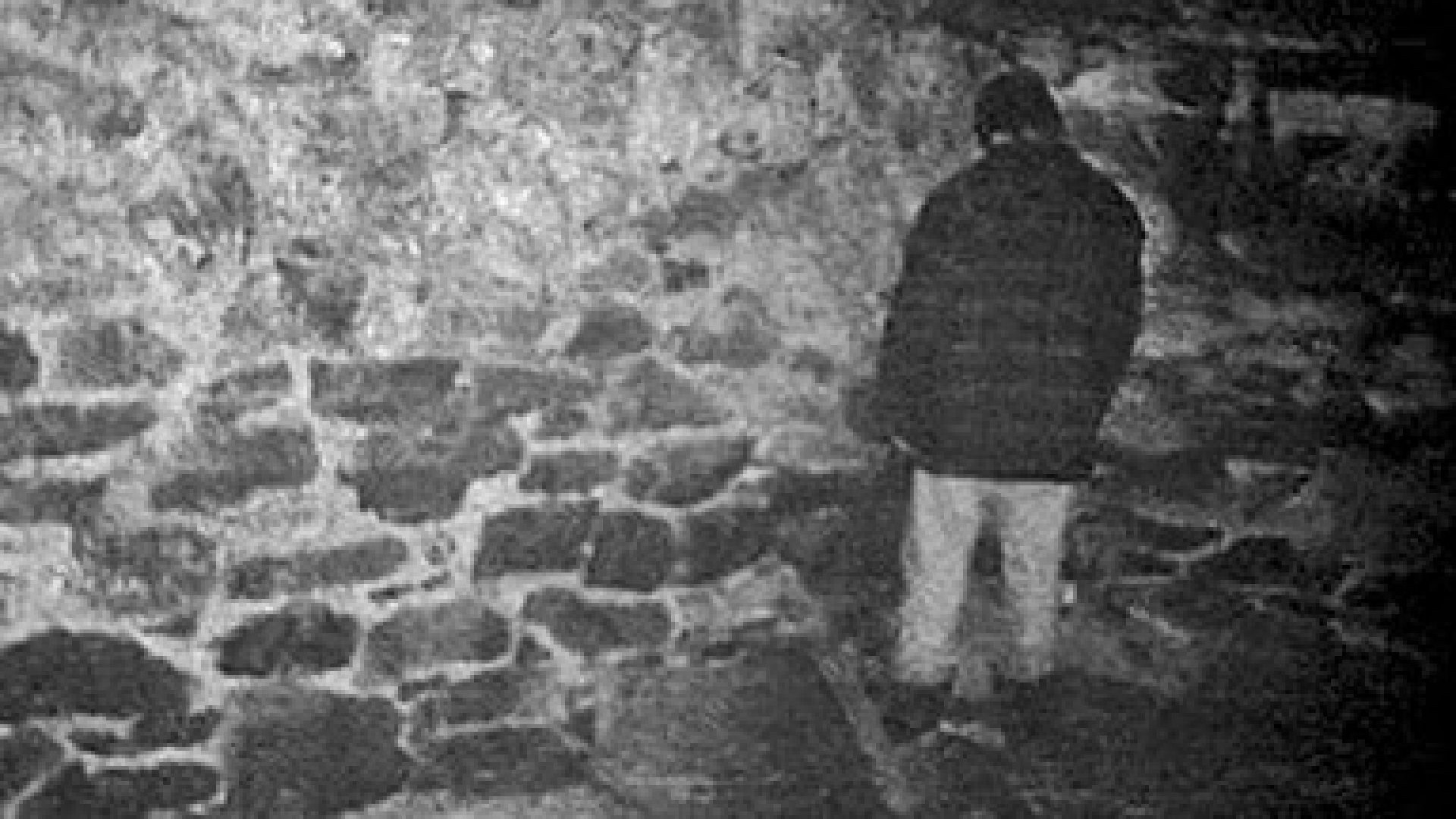 Image result for the blair witch project