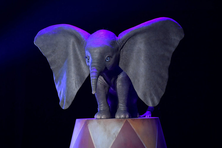 heres-your-first-look-at-dumbo-in-tim-burtons-live-action-adaptation1