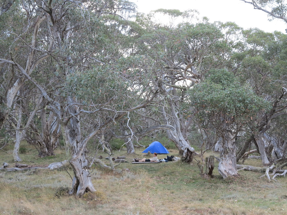  The campsite at Mt Magdala. Image courtesy of Alex Mullarky .