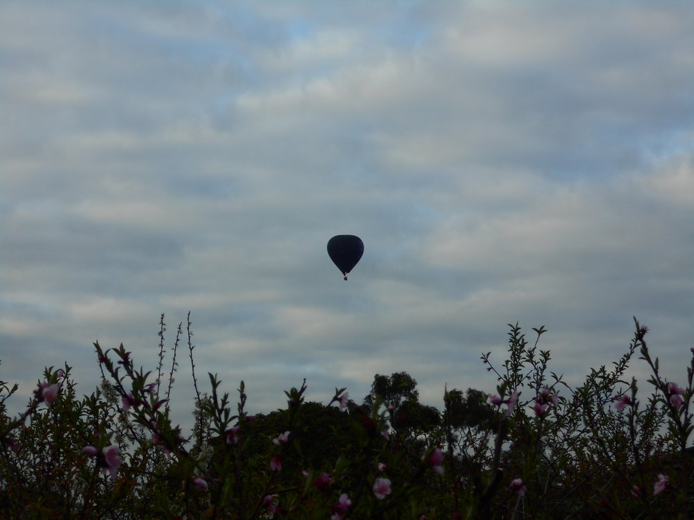  In certain weather, hot-air balloons are not an uncommon sight over Melbourne. Image: Bruna Costa 