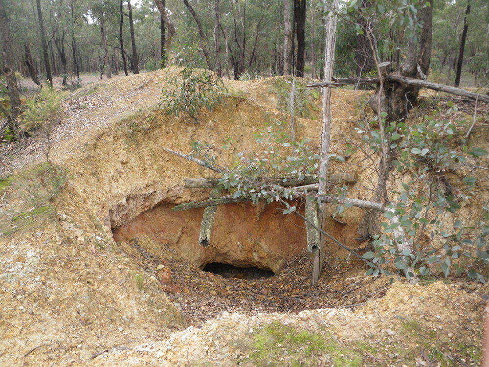  Miners quickly descended on (and under) Victoria’s box-ironbark country during the middle of the 1800s following the discovery of gold. Evidence of their activity can still be readily seen today.  Image: Rowan Mott 