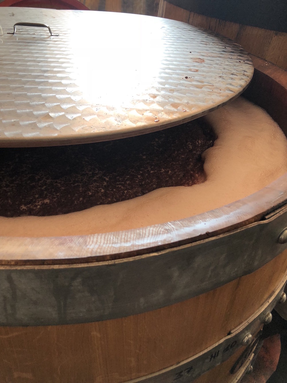 Raina fermentatie