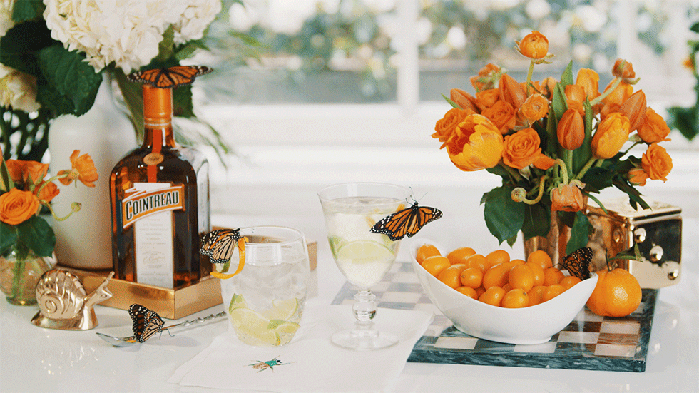 Cointreau Butterfly Cinemagraph