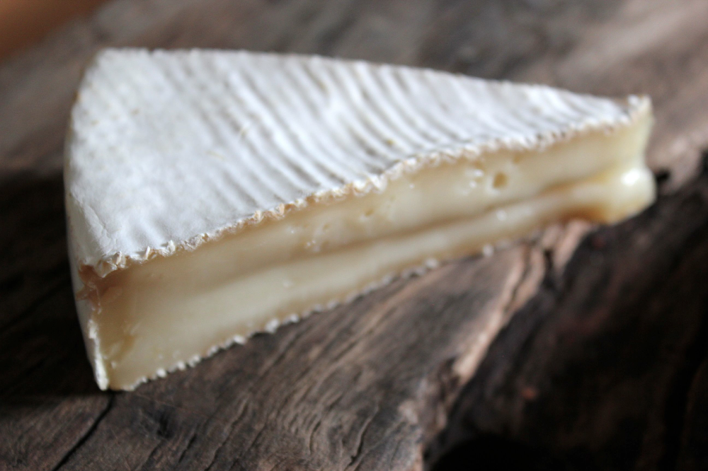 Our raw goat's milk brie style cheese - Calima.
